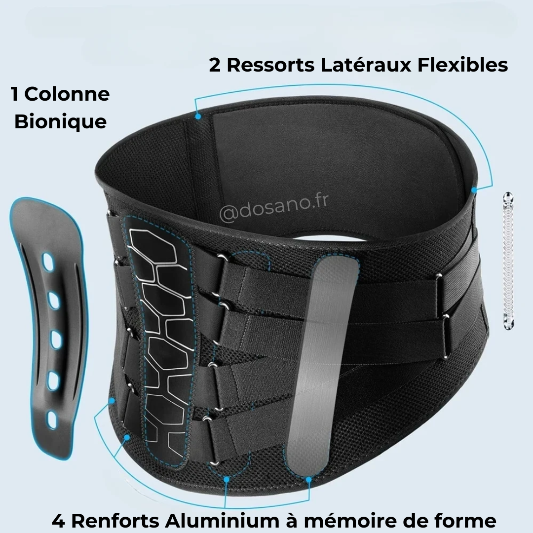 Ceinture Lombaire Biomécanique de Soutien